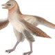 Illustration for article titled This little dinosaur had feathery wings 150 million years ago—but definitely couldnt fly